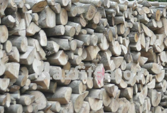 Νέα μέθοδος μετατρέπει τα ξύλα σε βιοκαύσιμα και χημικά