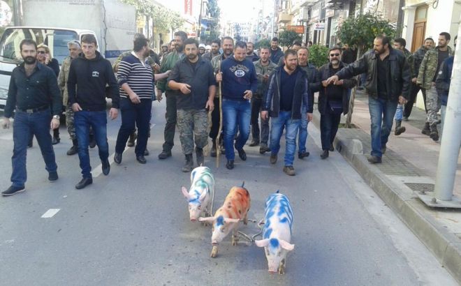 Βουλευτής της Χαλκιδικής καταγγέλλει αγρότες για κακοποίηση ζώων!