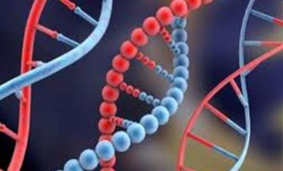 DNA αντί σκληρού δίσκου για την αποθήκευση δεδομένων
