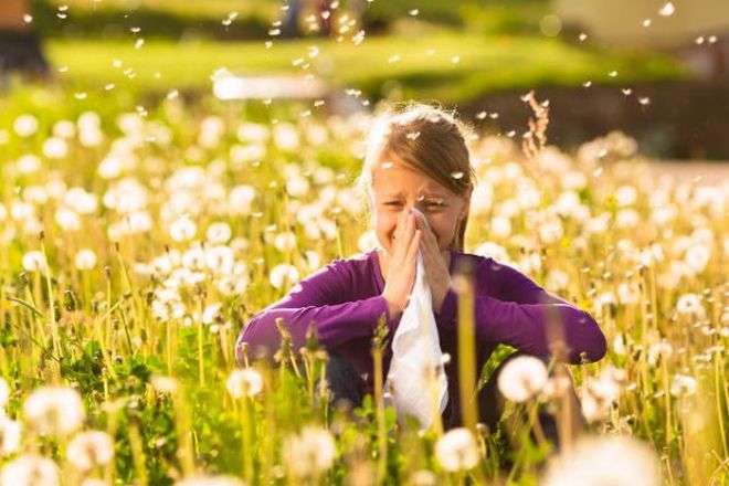 Άνοιξη και αλλεργίες: Συμπτώματα, θεραπεία και συμβουλές