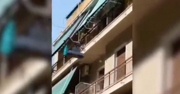 Απίστευτη κτηνωδία: Πέταξε σκύλο από τον τρίτο όροφο πολυκατοικίας! (ΒΙΝΤΕΟ)
