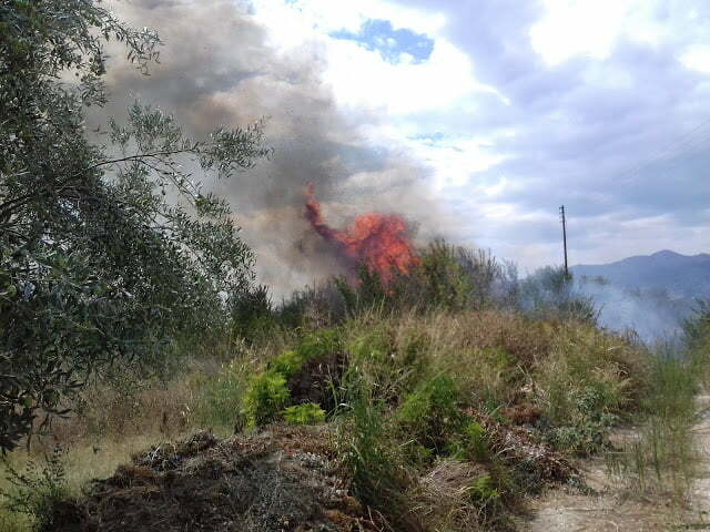 Πυρκαγιά απείλησε σπίτια στην Ξάνθη (ΦΩΤΟ)