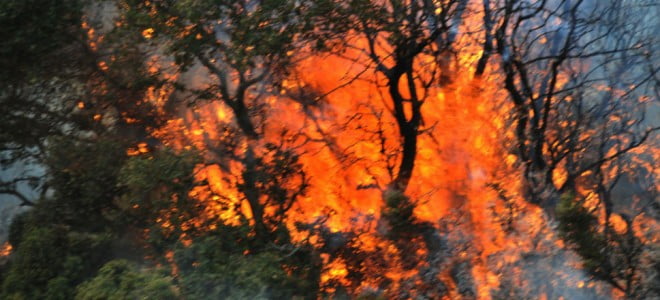 Πολύωρη μάχη της Πυροσβεστικής με τις φλόγες στο Ωραιόκαστρο