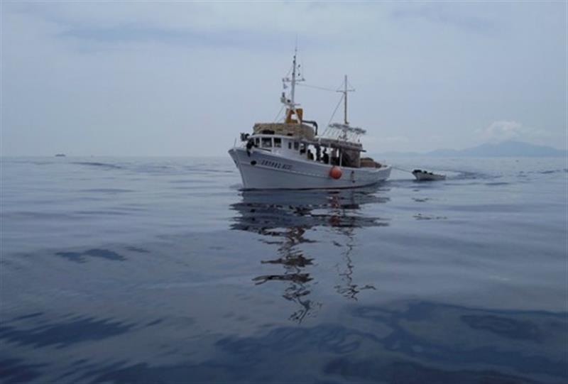 Εισάγουμε από την Τουρκία ψάρια του… Αιγαίου