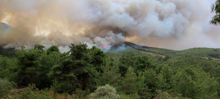 Αλεξανδρούπολη: Εψηνε παϊδάκια και έβαλε φωτιά στο δάσος