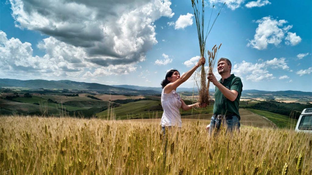 Στις 3.500 οι αιτήσεις για ένταξη στο πρόγραμμα Νέων Αγροτών στην Κ. Μακεδονία