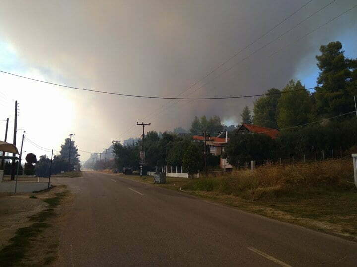 Ανακοίνωση του δήμου Κασσάνδρας για όσους επλήγησαν από την πρόσφατη πυρκαγιά- Τι πρέπει να κάνουν οι ενδιαφερόμενοι;