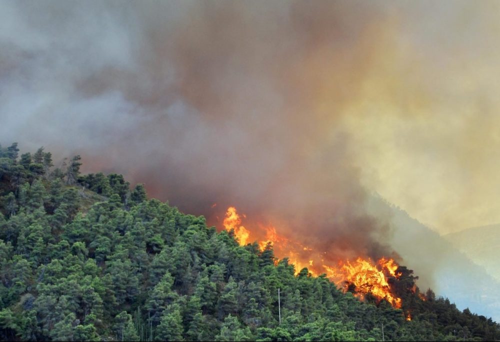 Πυρκαγιά σε δασική έκταση στα Τρίκαλα – Μεγάλος κίνδυνος λόγω πρατηρίου υγρών καυσίμων