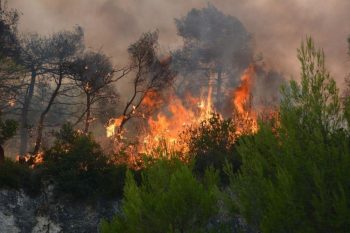 Αργολίδα: Σε εξέλιξη πυρκαγιά κοντά σε κατοικημένη περιοχή
