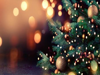 Δ. Θέρμης: Το πρόγραμμα φωταγώγησης των χριστουγεννιάτικων δέντρων
