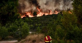 Φωτιά στο Πόρτο Γερμενό: Προσαγωγή υπόπτου για εμπρησμό – Βρέθηκε στο δάσος με εύφλεκτο υλικό