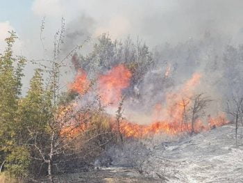 Πυρκαγιά σε χαμηλή βλάστηση στον Κορυδαλλό