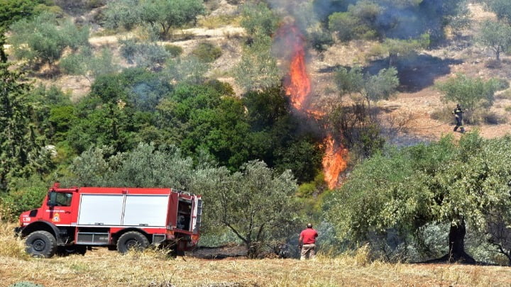 Πυρκαγιά στο Αμόνι Κορινθίας λόγω κεραυνού – Κινητοποιήθηκαν εναέριες δυνάμεις