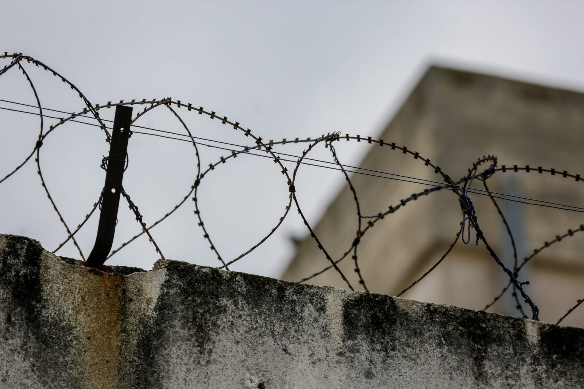 Προφυλακίστηκε ο 56χρονος συζυγοκτόνος της Νέας Μαδύτου