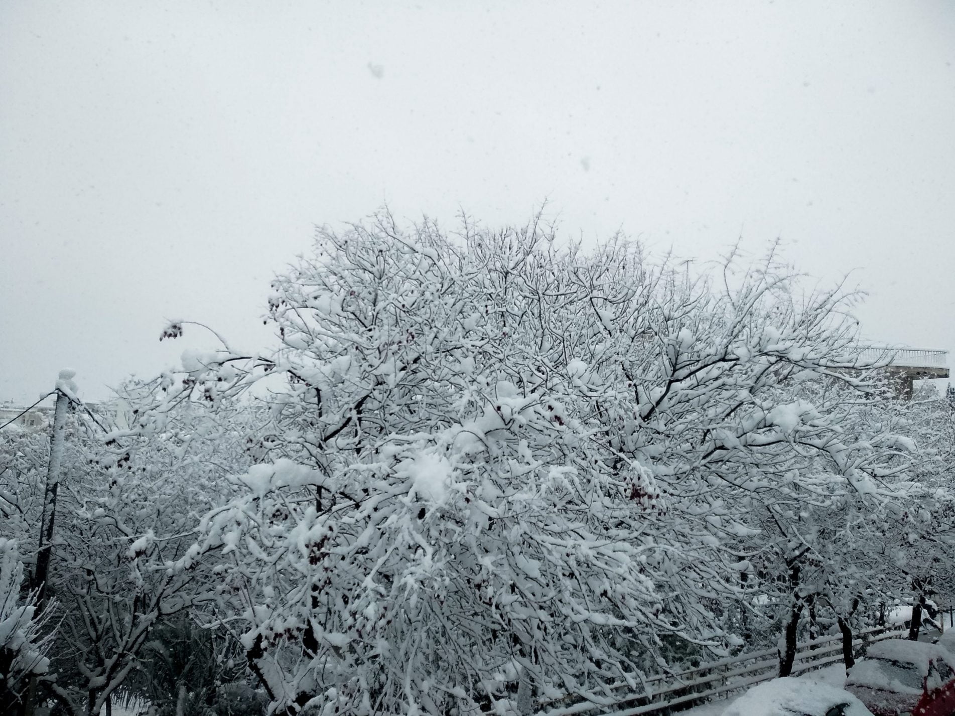Θεσσαλονίκη: Έπεσαν τα πρώτα χιόνια- Ποιοι δρόμοι έκλεισαν