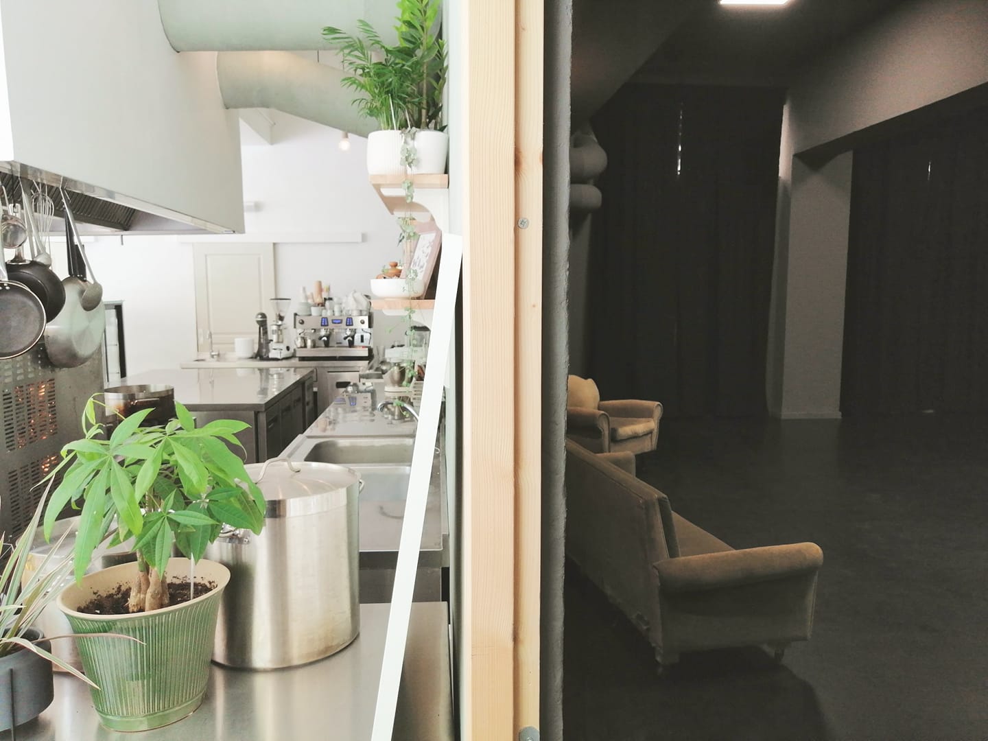 Άσπρο Δέντρο: Το πρώτο «μαγειρείο – θέατρο» –  Ένα πρωτότυπο concept στη Θεσσαλονίκη