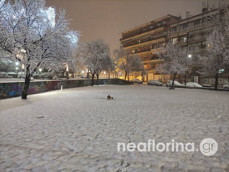 Στα λευκά η Φλώρινα