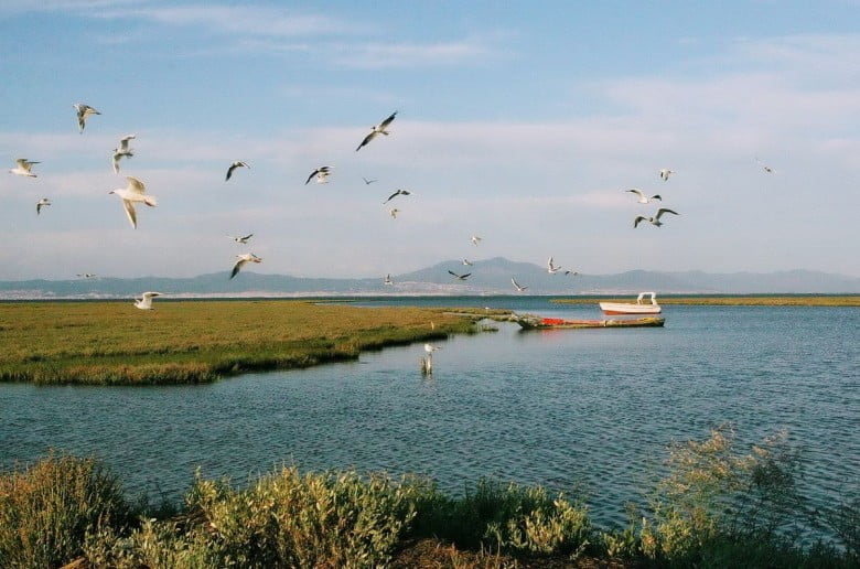 Καταργήθηκε ο Φορέας Διαχείρισης Προστατευόμενων Περιοχών Θερμαϊκού Κόλπου