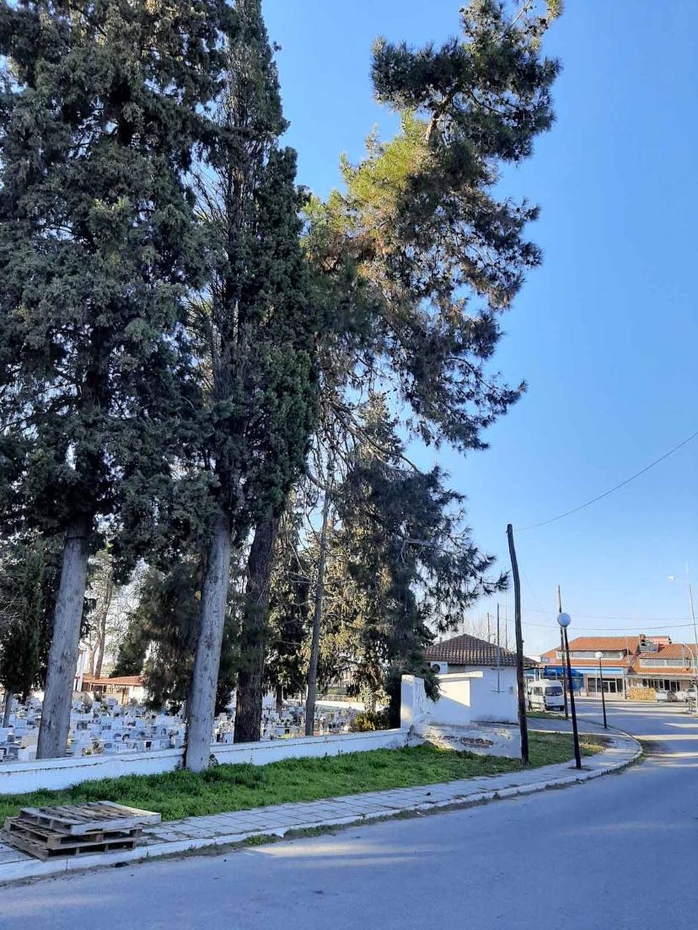 Δήμος Λαγκαδά: Απομακρύνθηκαν ετοιμόρροπα δέντρα από το κοιμητήριο της Γερακαρούς