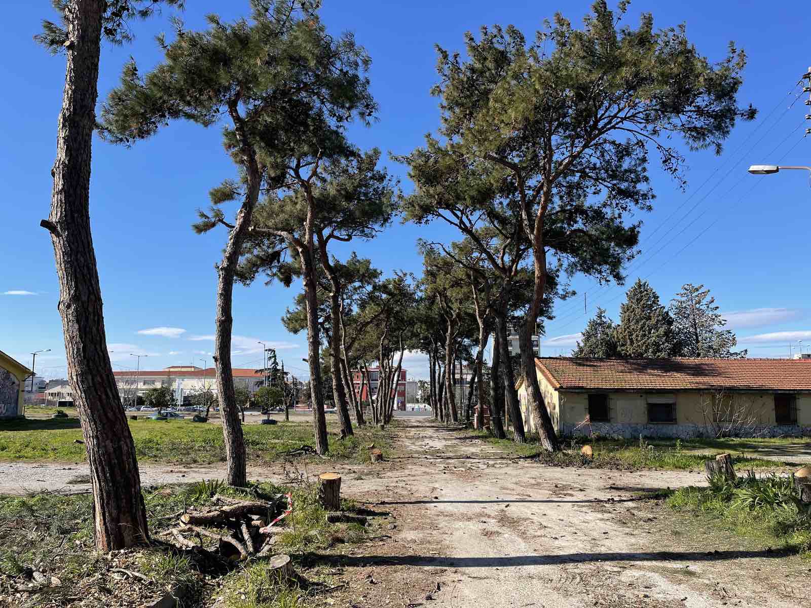 Μητροπολιτικό Πάρκο Παύλου Μελά: Eργασίες ανανέωσης και προστασίας  της υφιστάμενης βλάστησης