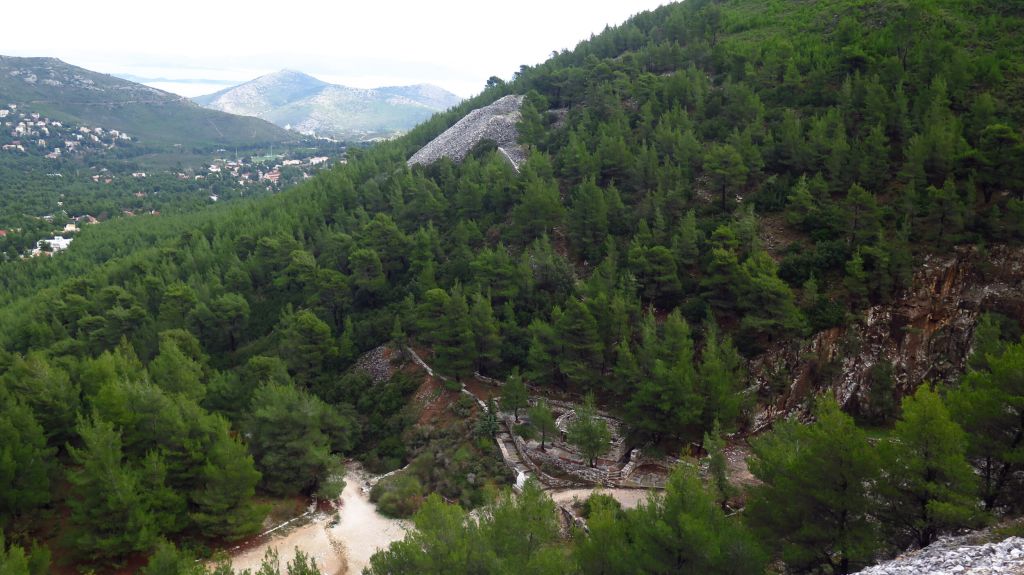 Υπάρχουν περίπου 73.300 είδη δέντρων στη Γη-Τα 9.200 δεν έχουν ακόμη ανακαλυφθεί