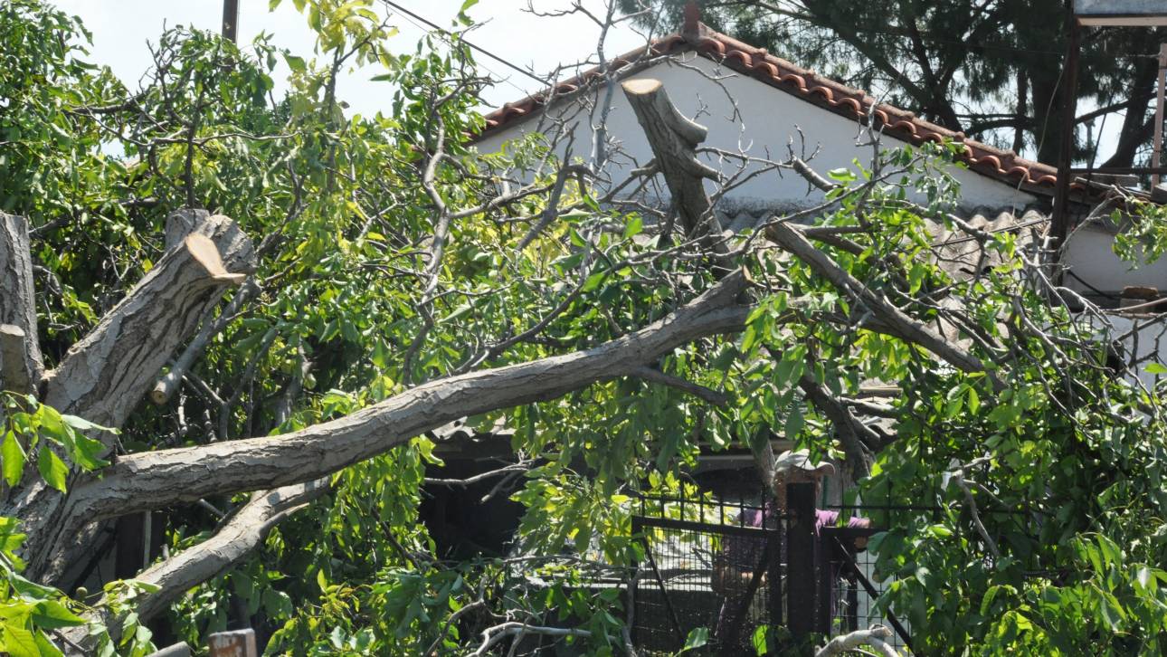 Πέλλα: Σε κατάσταση έκτακτης ανάγκης οι δήμοι Αλμωπίας, Σκύδρας και Έδεσσας – Σημαντικά προβλήματα λόγω κακοκαιρίας