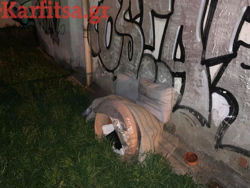 Γλάστρα έγινε… καταφύγιο για αδέσποτα γατάκια στη Θεσσαλονίκη (ΦΩΤΟ)