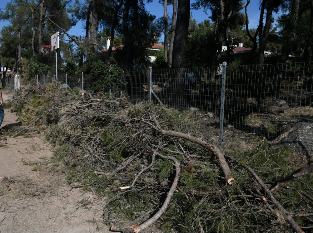 ΠΚΜ: Εργασίες κλαδέματος δένδρων στην περιοχή Αγίου Αθανασίου