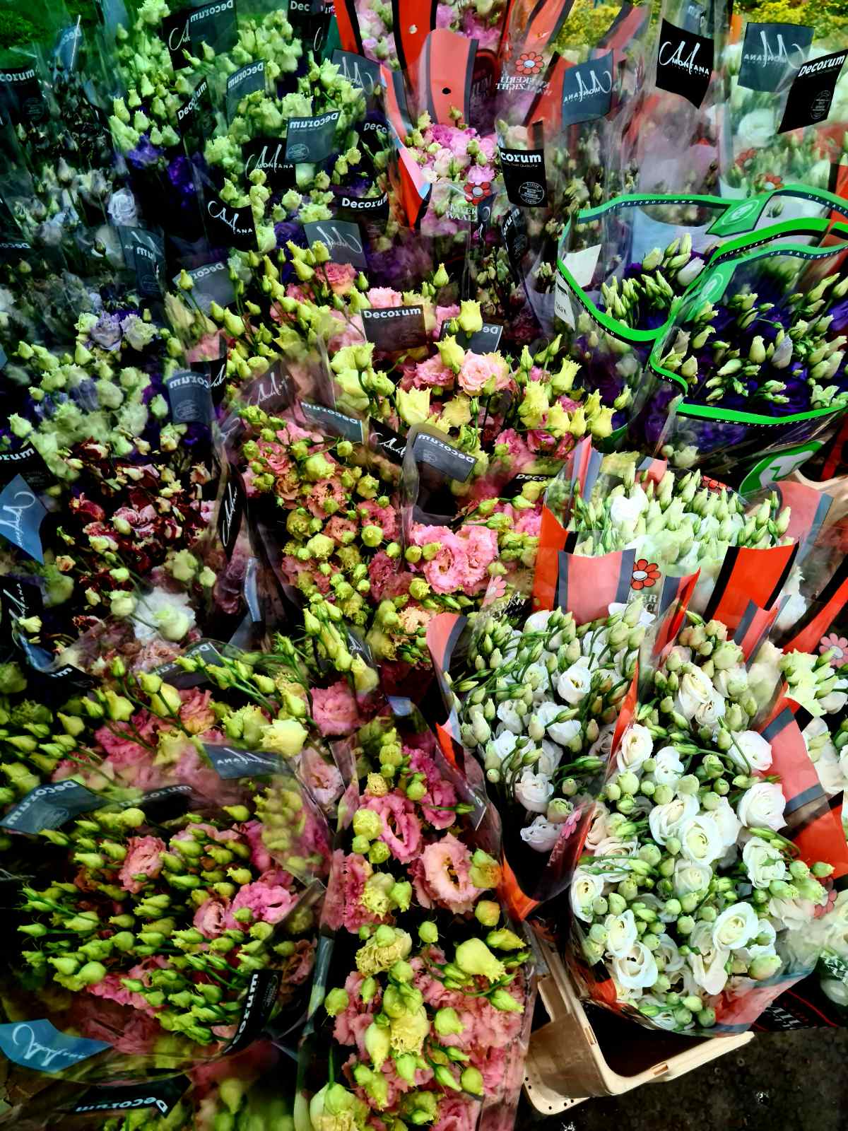 Θεσσαλονίκη: Μισό εκατομμύριο γαρύφαλλα βρίσκονται στα ανθοπωλεία της Π.Ε. Θεσσαλονίκης για τον Επιτάφιο