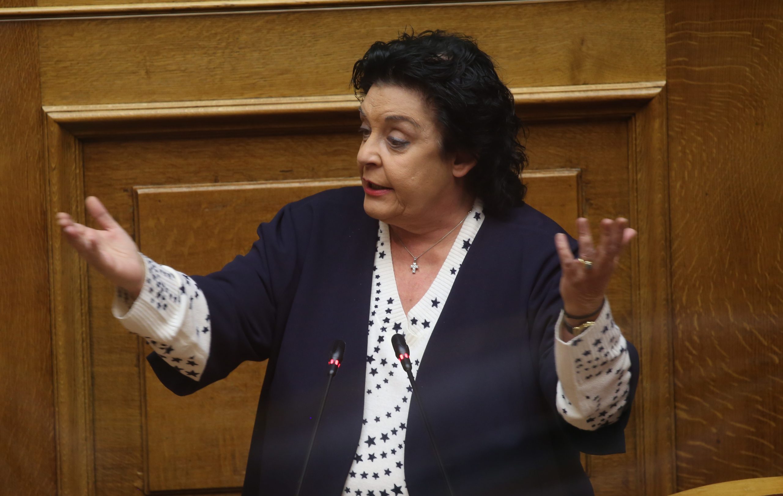 Κανέλλη: Ο Ζελένσκι δεν είναι Κολοκοτρώνης