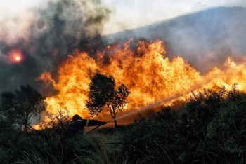 Σέρρες: Πυρκαγιά στο Νέο Πετρίτσι (Video)