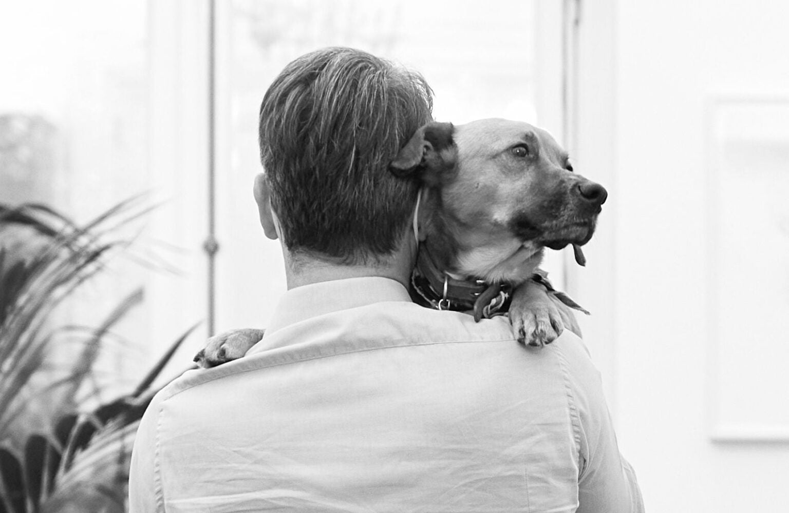 Μητσοτάκης: Το μήνυμά του για τα αδέσποτα και η αγκαλιά με τον Πίνατ