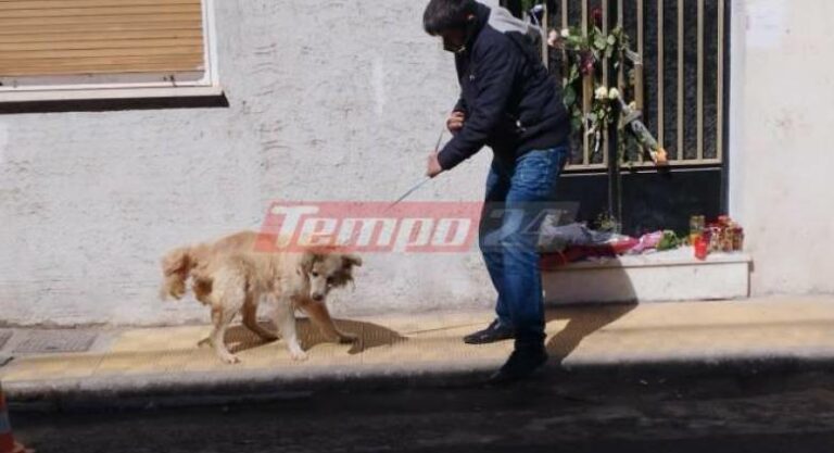 Πάτρα: Δύο ημέρες μετά το καναρίνι, απομακρύνθηκε και σκύλος από το σπίτι της Ρούλας Πισπιρίγκου (φωτο)