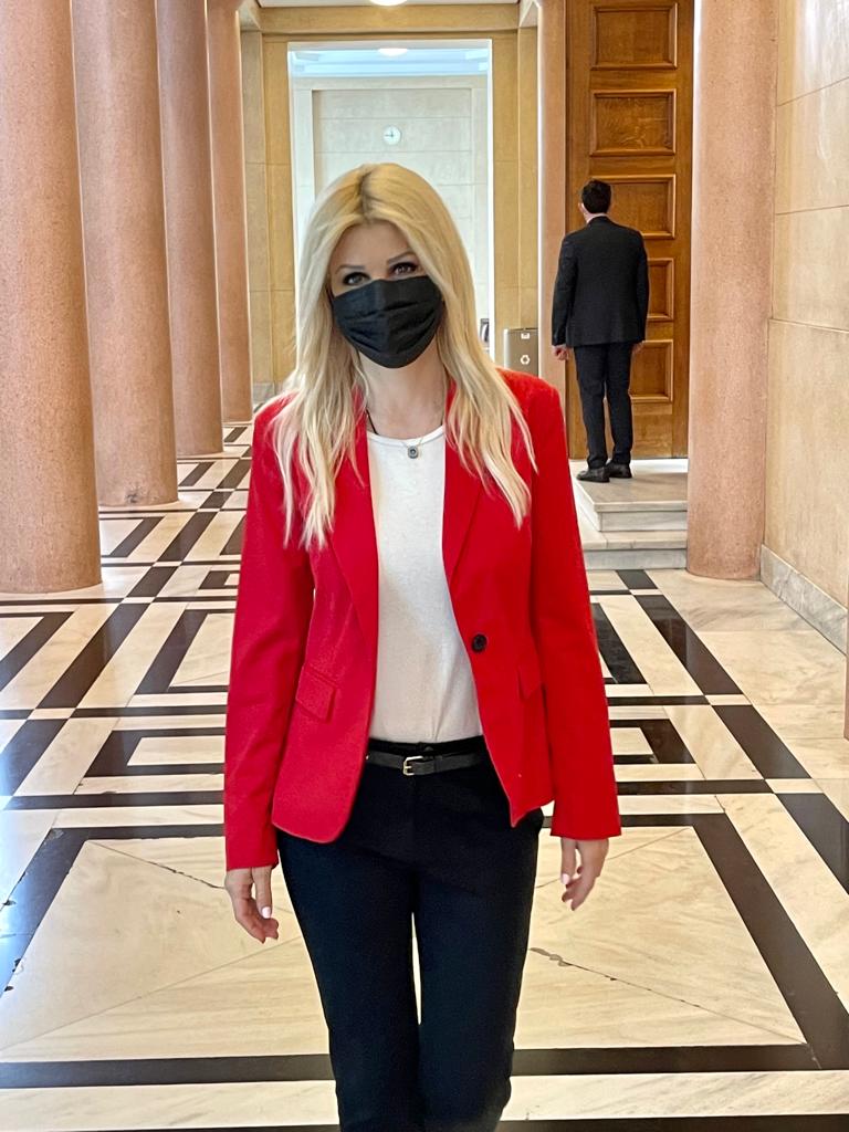 Έλενα Ράπτη: Συμμετοχή στην συνεδρίαση της Διαρκούς Επιτροπής