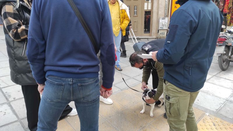 Πρόστιμα σε ιδιοκτήτες ζώων στη Θεσσαλονίκη