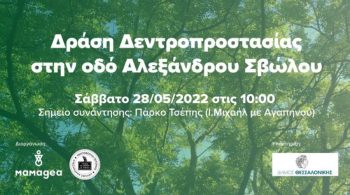 Δ. Θεσσαλονίκης: «Ασπίδα προστασίας» για τα δέντρα της Αλεξάνδρου Σβώλου