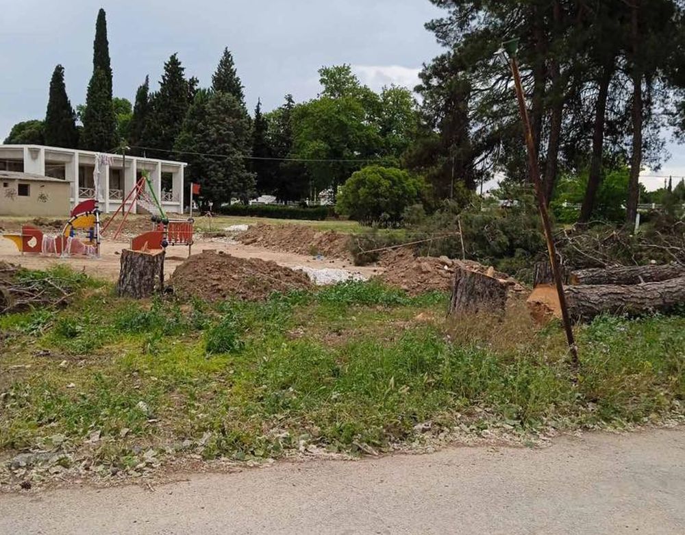 Κοπή επικίνδυνων δέντρων δέντρων στον περιβάλλοντα χώρο του Μπίλλειου Πολιτιστικού Κέντρου στον Λαγκαδά