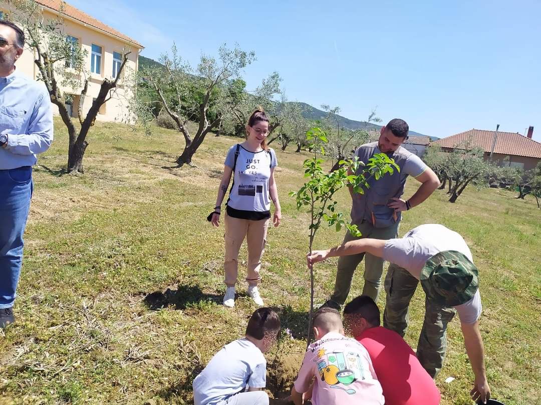 Δέντρα στη Θεσσαλονίκη «φακελώνονται» για καλό σκοπό