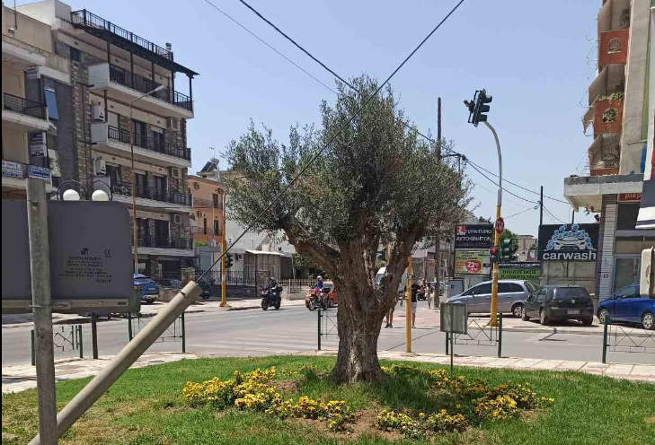 Πρόγραμμα “Υιοθεσίας Χώρων Πρασίνου” στον Δήμο Κορδελιού-Ευόσμου