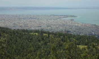 Θεσσαλονίκη: Πρόγραμμα – ασπίδα για την προστασία των ευρωπαϊκών δασών μέσω γενετικής παρακολούθησης