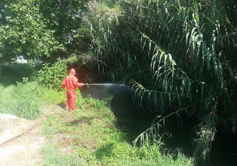 Δ. Λαγκαδά: Συνεχίζονται και αυτή την εβδομάδα οι επίγειοι ψεκασμοί κουνουπιών