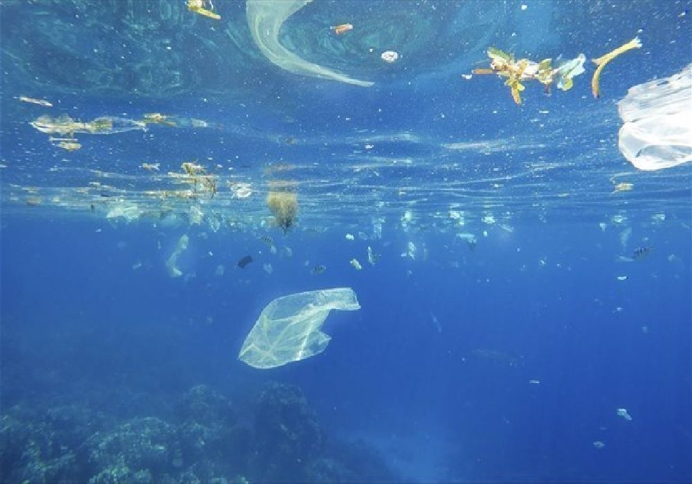 Ισχυρά αντιβιοτικά από βακτήρια των θαλάσσιων πλαστικών σκουπιδιών