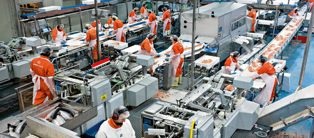 ΕΛΣΤΑΤ: Κατά 4,5% μειώθηκε η βιομηχανική παραγωγή