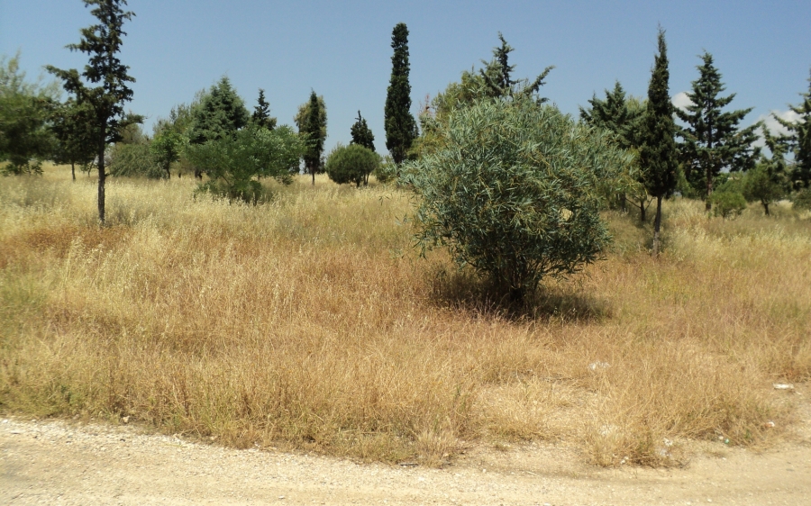 Γκρίνιες για… τους δημάρχους