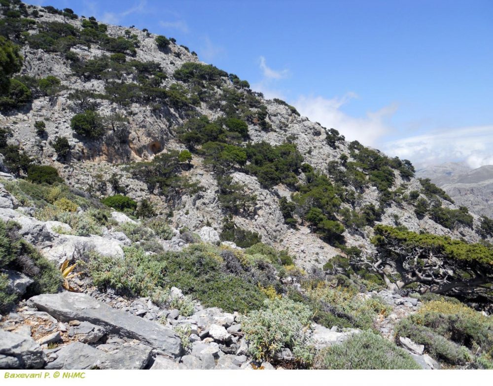 Χανιά: Απαγόρευση κυκλοφορίας στις περιοχές NATURA κατά τη διάρκεια υψηλού κινδύνου πυρκαγιάς