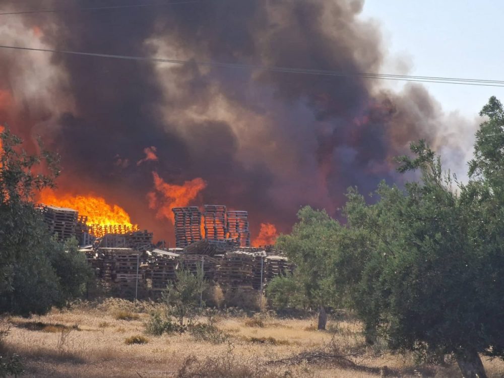 Μεγάλη φωτιά σε επιχείρηση στον Ασπρόπυργο
