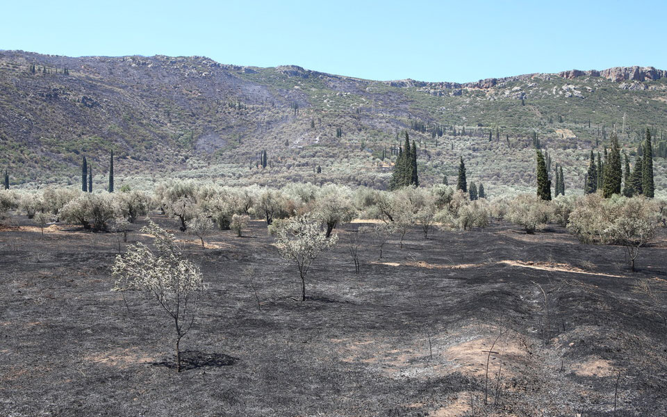 Ενεργοποιήθηκε η υπηρεσία Copernicus για τις φωτιές σε Αχαΐα και Ιτέα