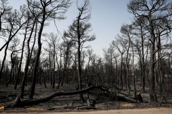 Κλιματική αλλαγή: Αύξηση δασικών πυρκαγιών τα επόμενα χρόνια παγκοσμίως
