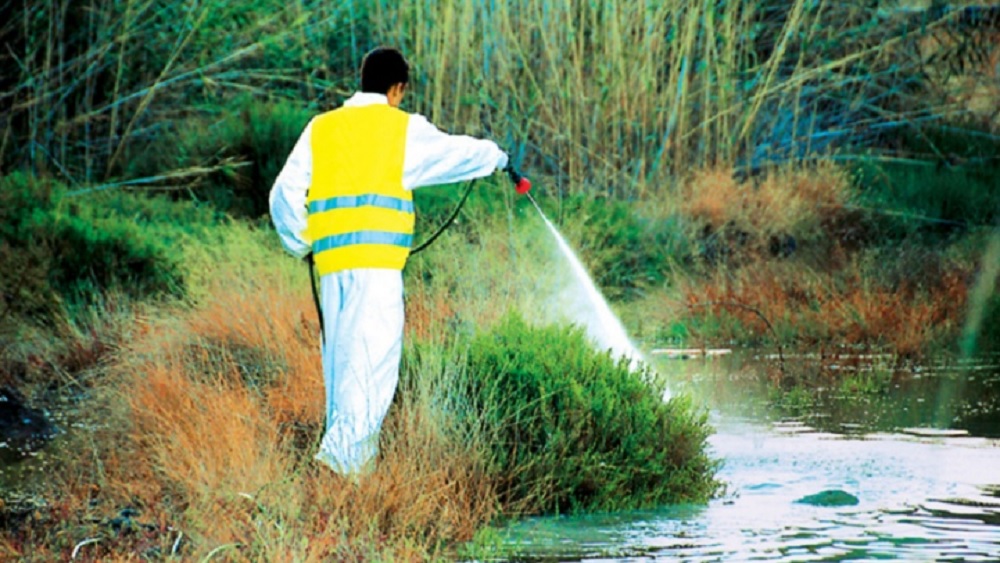 Δ. Λαγκαδάς: Νέοι επίγειοι ψεκασμοί για τα κουνούπια
