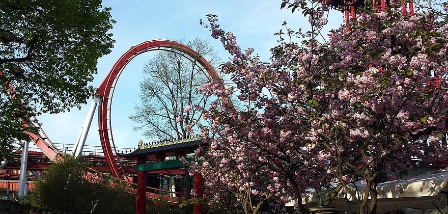 Δανία: Τραγικός θάνατος 14χρονης σε λούνα παρκ